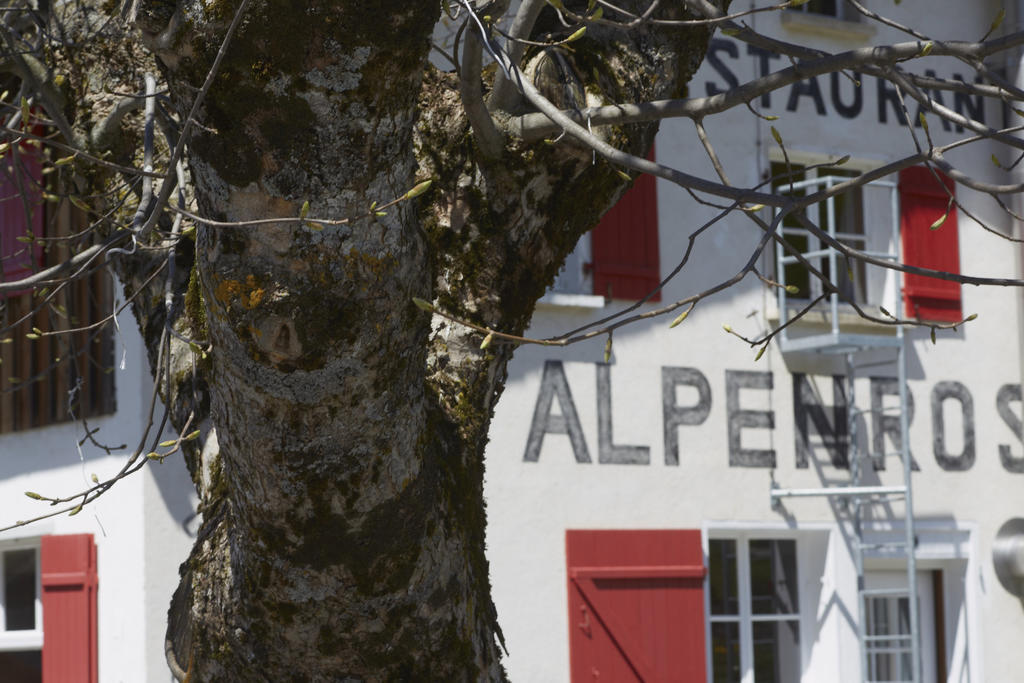 Alpenrose Gadmen - Gasthaus Eksteriør bilde